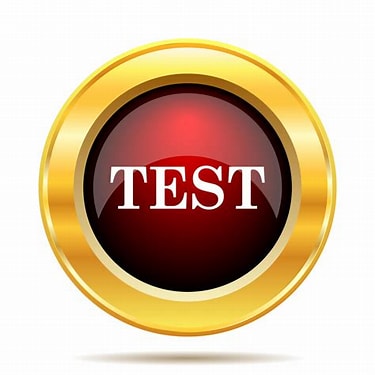 Wlet testlogo1.jpeg